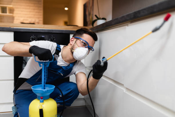 Professional Pest Control in Wye, MT