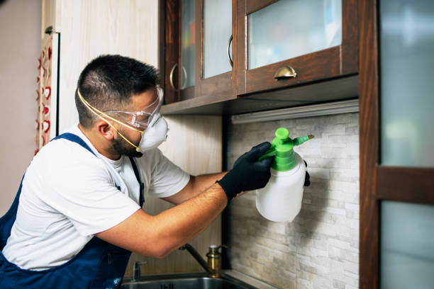 Best Termite Control Services  in Wye, MT