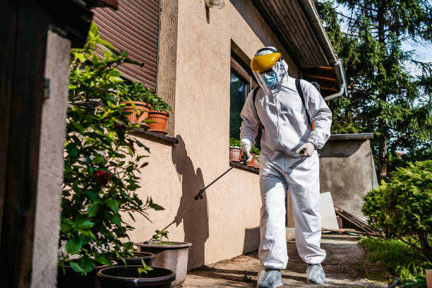 Best Wildlife Control Services  in Wye, MT