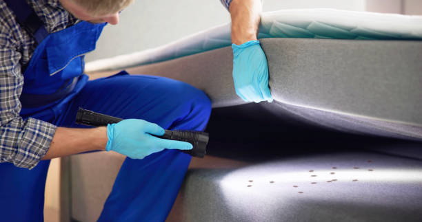Best Best Pest Control Companies  in Wye, MT