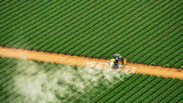 Best Commercial Pest Control Services  in Wye, MT