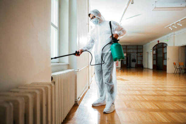 Best Residential Pest Control  in Wye, MT