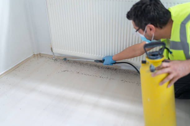Best Pest Control for Restaurants  in Wye, MT